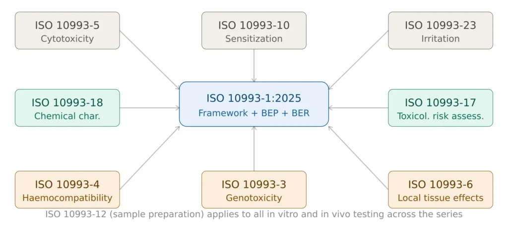 ISO 10993 series key parts diagram showing ISO 10993-1 as central framework with cytotoxicity sensitization irritation chemical characterization toxicological risk assessment haemocompatibility genotoxicity and local tissue effects